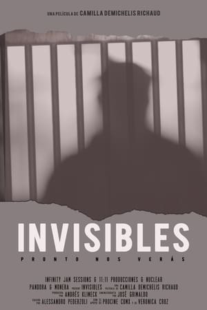 Invisibles