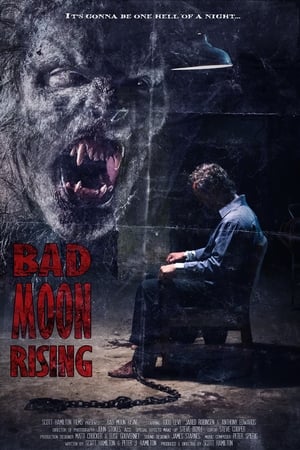 Bad Moon Rising