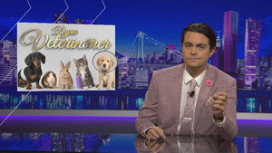 Svenska nyheter 17. évad Ep.12 12. epizód