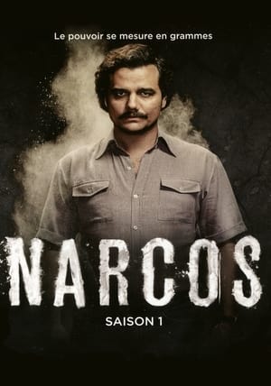 Narcos poszter