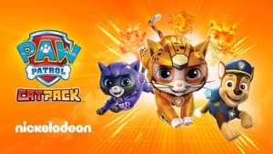 Cat Pack: A PAW Patrol Exclusive Event háttérkép