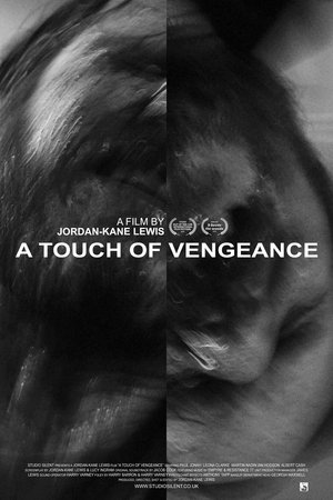 A Touch of Vengeance poszter