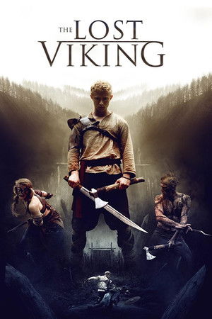The Lost Viking poszter