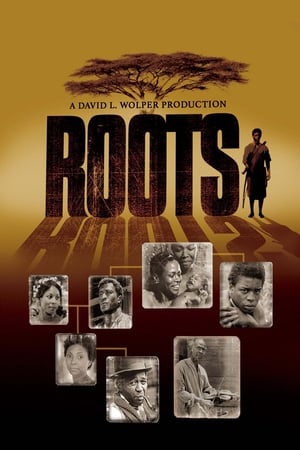 Roots: The Next Generations poszter