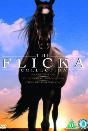 The Flicka filmek