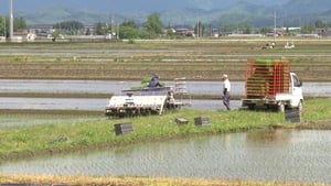 Japanology Plus Season 2 Ep.80 80. epizód