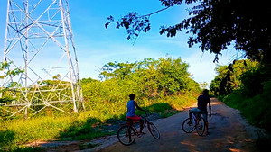 Árvores e Bicicletas háttérkép