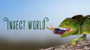 Insect World háttérkép