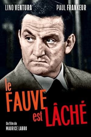 Le fauve est lâché poszter