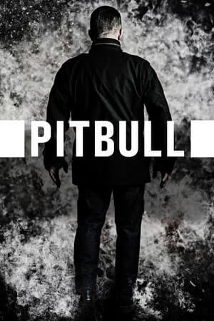 Pitbull poszter