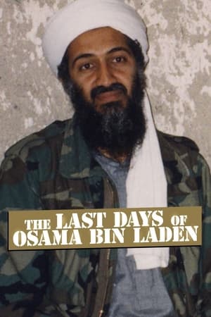 Bin Laden utolsó napjai