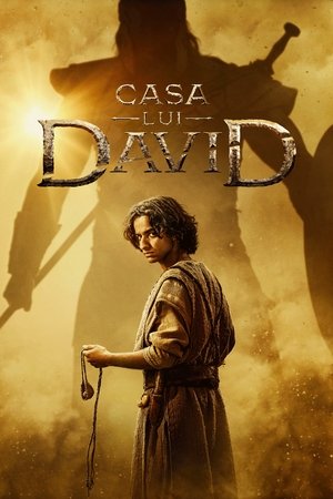 Dávid háza poszter