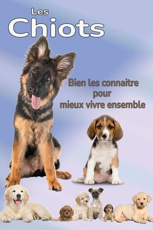 Les Chiots "Bien les connaitre pour mieux vivre ensemble"