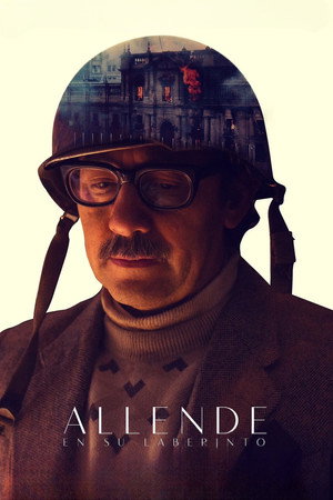 Allende en su laberinto poszter