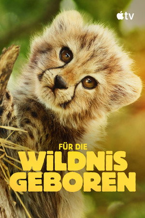 Born to Be Wild poszter