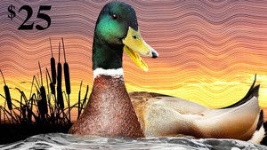The Million Dollar Duck háttérkép