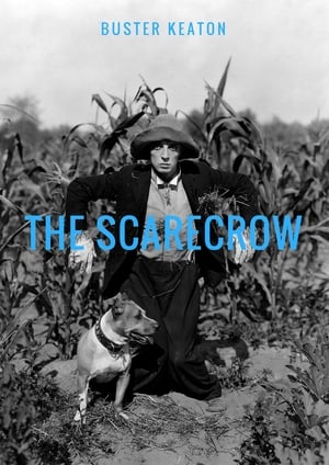 The Scarecrow poszter