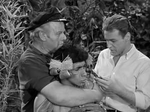 Gilligan's Island 1. évad Ep.26 26. epizód