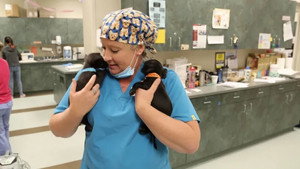 Rocky Mountain Animal Rescue 1. évad Ep.4 4. epizód