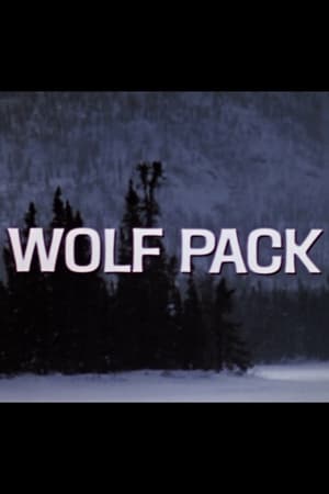 Wolf Pack poszter