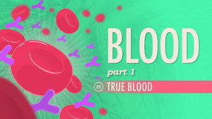 Crash Course Anatomy & Physiology 1. évad Ep.29 29. epizód