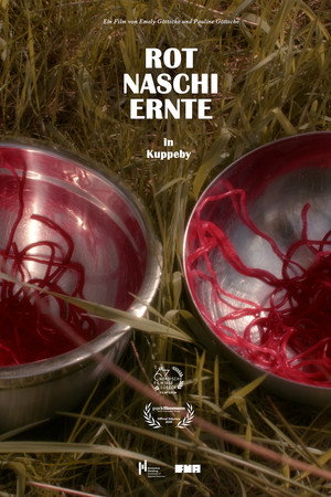 ROTNASCHIERNTE in Kuppeby poszter