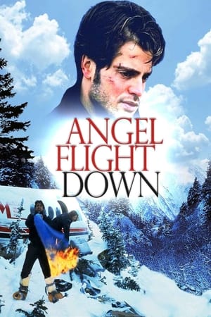 Angel Flight Down poszter