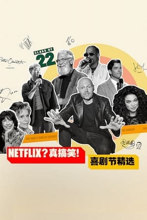 The Best of Netflix Is a Joke: The Festival poszter