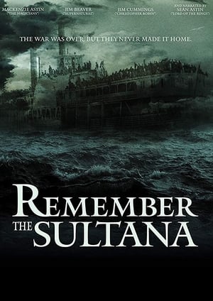 Remember the Sultana poszter