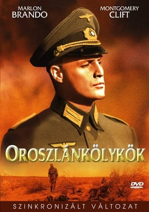 Oroszlánkölykök