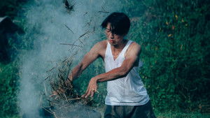 蕃茄田 háttérkép