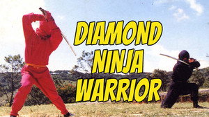 Diamond Ninja Force háttérkép