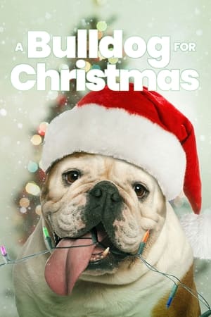 A Bulldog for Christmas poszter