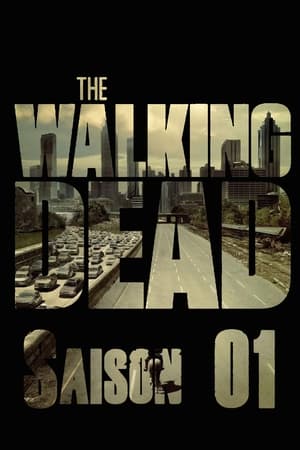 The Walking Dead poszter