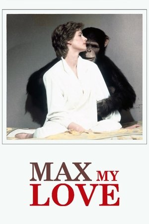Szerelmem, Max poszter