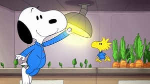 Snoopy az űrben 1. évad Ep.5 5. epizód