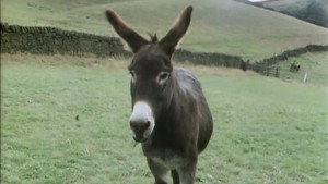 Last of the Summer Wine Season 8 Ep.4 4. epizód