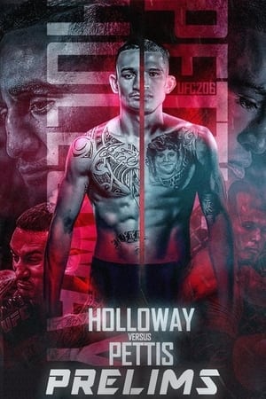 UFC 206: Holloway vs. Pettis poszter