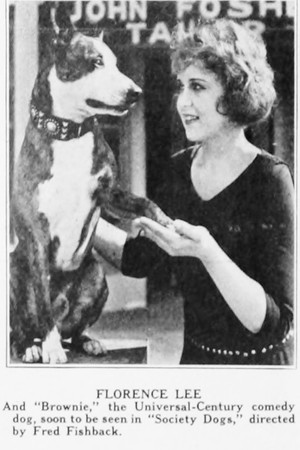 Society Dogs poszter