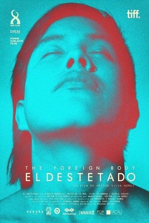 El Destetado poszter