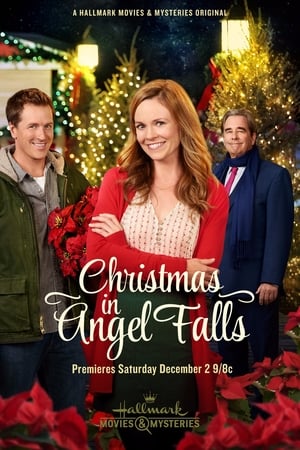 Christmas in Angel Falls poszter