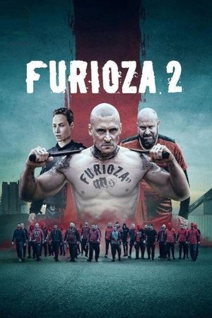 Furioza 2. poszter
