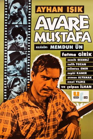 Avare Mustafa poszter