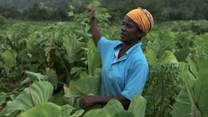 Tu crois que la terre est chose morte háttérkép