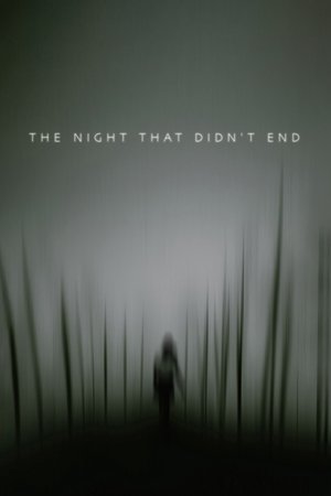 The Night That Didn't End poszter