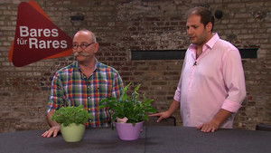 Bares für Rares 8. évad Ep.74 74. epizód