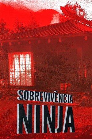 Ultimate Ninja Challenge poszter