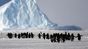 Seule en antarctique háttérkép