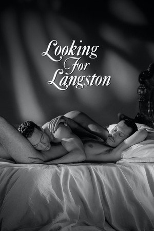Looking for Langston poszter