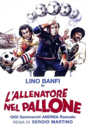 L'allenatore nel pallone poszter